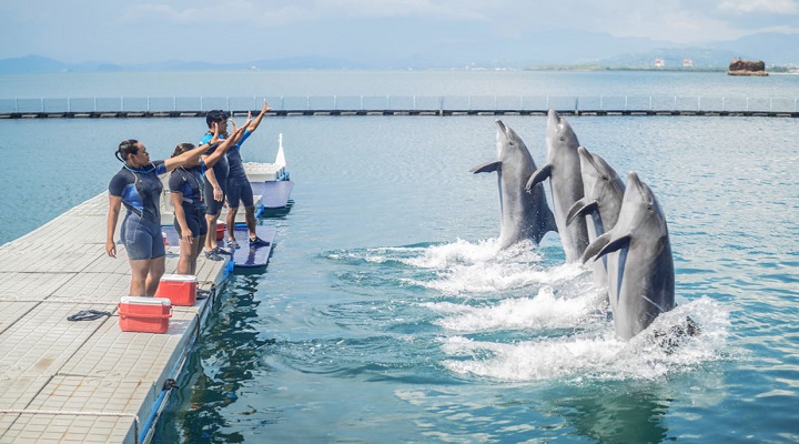 Ocean Adventure