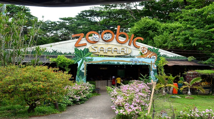 2 Zoobic Safari