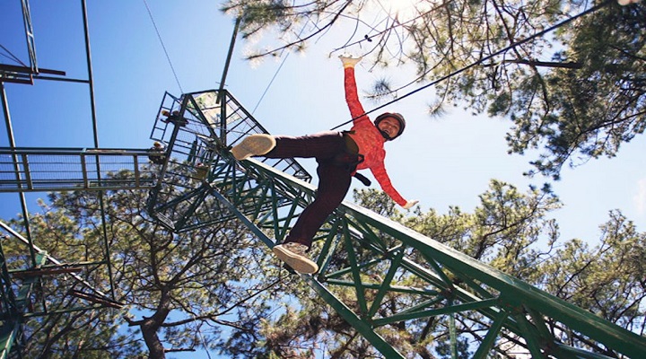 Tree Top Adventure Subic