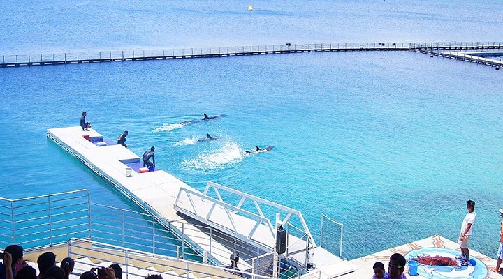 Ocean Adventure