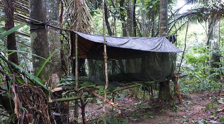 4 JEST Camp