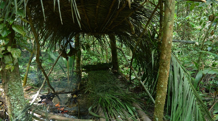 Clark Safari and Adventure Park