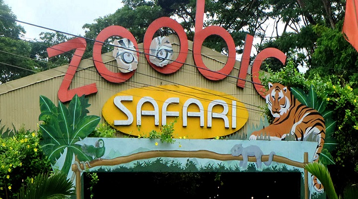 7 Zoobic Safari