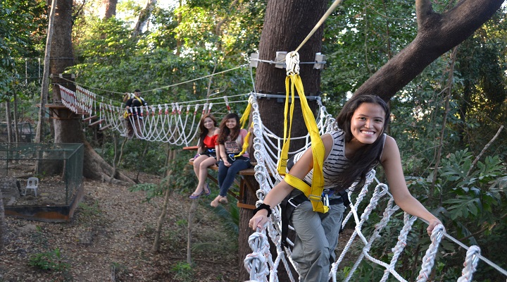 8 Clark Safari and Adventure Park
