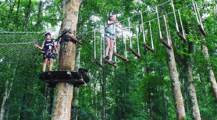 Tree Top Adventure Subic