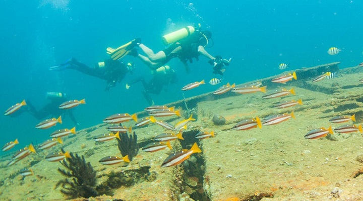 Camayan Beach Resort