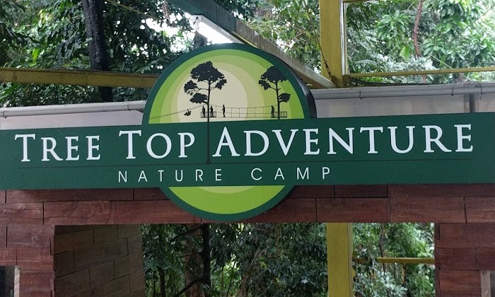 Tree Top Adventure Subic